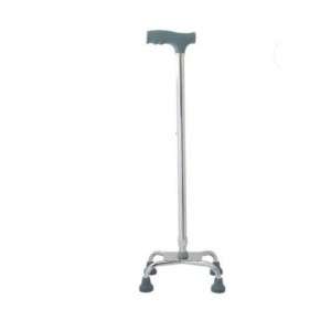 Best Walking Stick in Dehradun